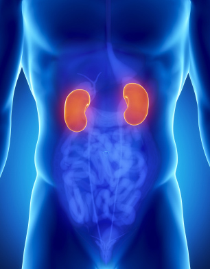 kidney disease